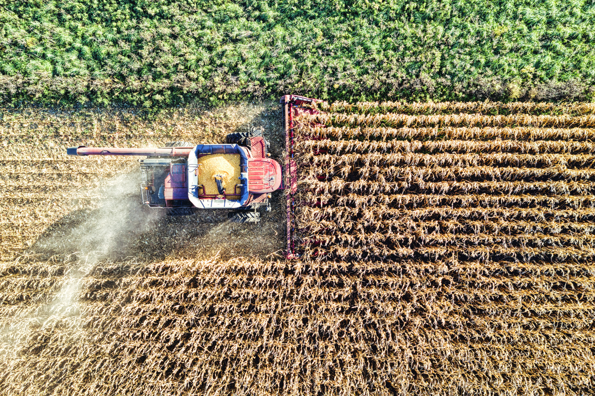 Agriculture logistics